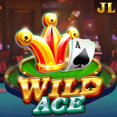 Wild Ace OK Fun game